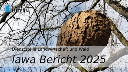 Titelbild lawa-Bericht 2025