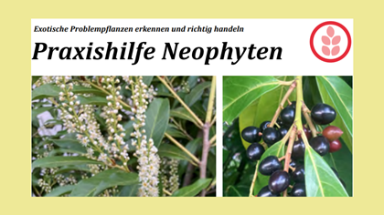 Praxishilfe Neophyten, Titelseite