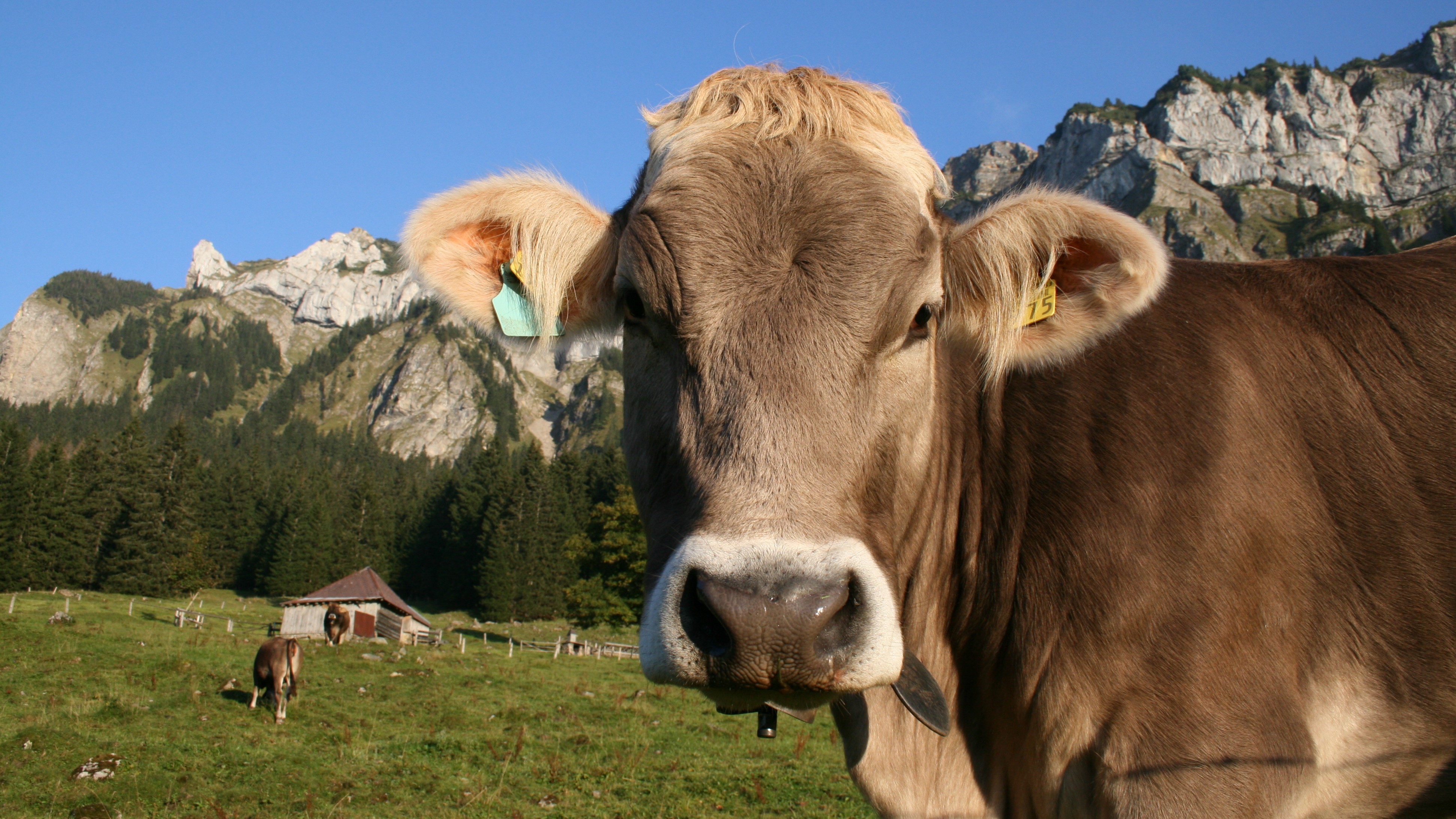 Landwirtschaft - Kanton Luzern