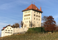Schloss Heidegg mit Rebberg