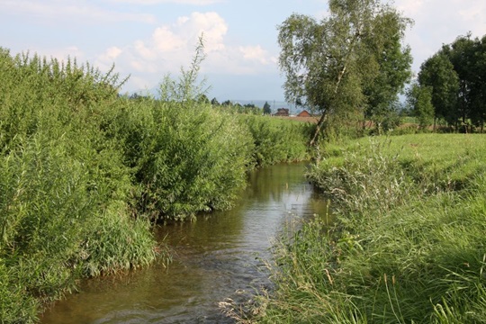 Fliessgewässer