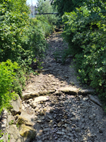 Ausgetrockneter Bielbach-Abschnitt in Ruswil