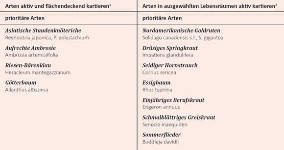 Neophyten Schwerpunktarten