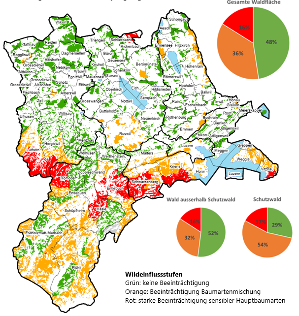 Grafik: Beurteilung natürlche Waldverjüngung